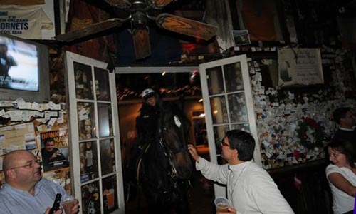 horse bar photo
